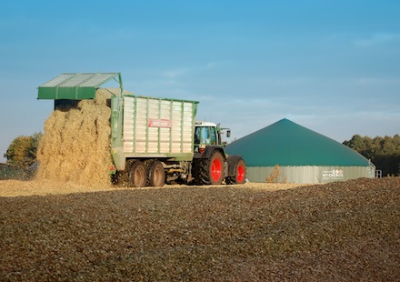 Studie: Aus Biomasse könnten 20 Prozent des Energiebedarfs Schleswig-Holsteins gedeckt werden.