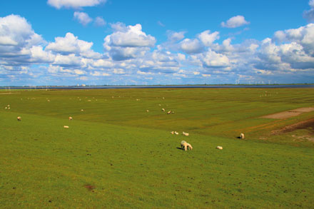 Kreis Nordfriesland: 90 Prozent der Windparks sind genossenschaftlich organisiert.