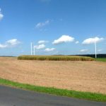 Mit dem geplanten Beteiligungswindpark Bayerischer Odenwald geht Energiedienstleister Green City Energy neue Wege.