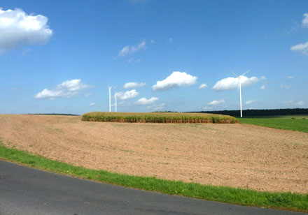 Mit dem geplanten Beteiligungswindpark Bayerischer Odenwald geht Energiedienstleister Green City Energy neue Wege.