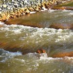 In Willstätt ist neben einem neuen Wasserkraftwerk auch eine Fischtreppe errichtet worden