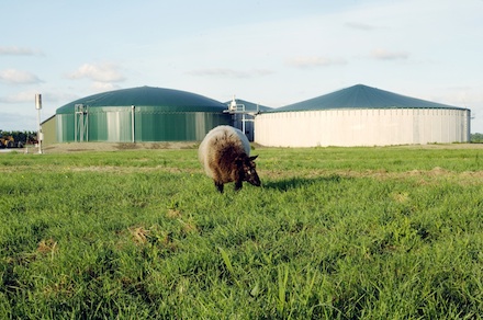 In der Gemeinde Köckte in Sachsen-Anhalt sorgt eine Gasaufbereitungsanlage der Firma EnviTec für hochwertiges Biogas.