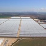 Solarthermie-Kraftwerk in Spanien: Das Spiegelfeld hat eine Größe von 510.000 Quadratmetern und besteht aus insgesamt 156 Reihen von Parabolspiegeln