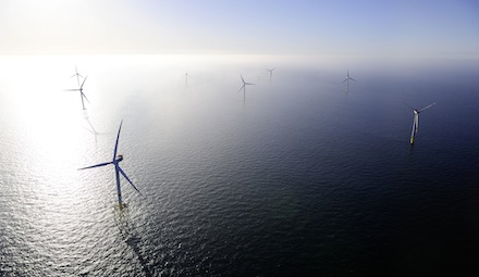 Windpark Alpha Ventus: Laut einer Untersuchung des Bundesamtes für Seeschifffahrt und Hydrographie können Offshore-Windparks die Artenvielfalt einer Region begünstigen.