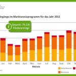 2013 sind rund 79.000 Förderanträge für Ökoheizungen beim Bundesamt für Wirtschaft und Ausfuhrkontrolle eingegangen.