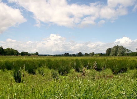 Das Land Baden-Württemberg erprobt