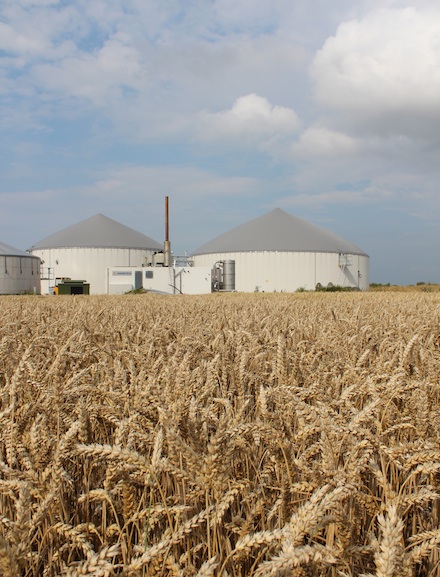 In Thüringen soll Windstrom mithilfe von Biogas speicherfähig gemacht werden.