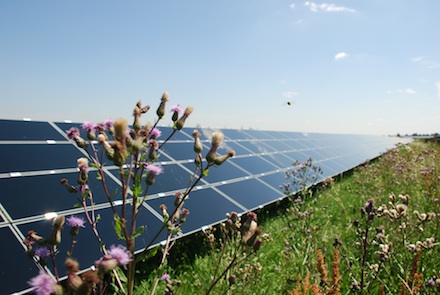 Die Bundesnetzagentur hat die erste Ausschreibungsrunde für Photovoltaik-Freiflächenanlagen bekannt gegeben.