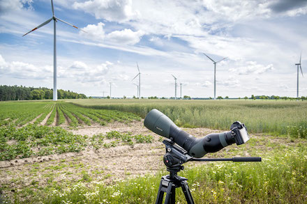 Prokon-Windpark: Unklare Aussichten beim insolventen Unternehmen.