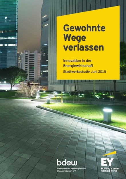 Laut der Stadtwerke-Studie 2015 sehen kommunale Unternehmen Innovationspotenzial in den Bereichen Kundenbetreuung und Kooperationen.