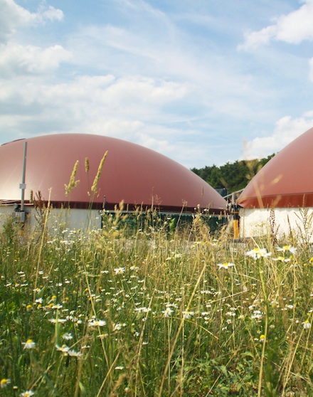 Die Bioenergiebranche fordert Nachbesserungen für den Entwurf der Novelle zur Förderung der Kraft-Wärme-Kopplung.