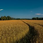 Zwei Prozent der hessischen Landesfläche sind für Windräder ausgewiesen.