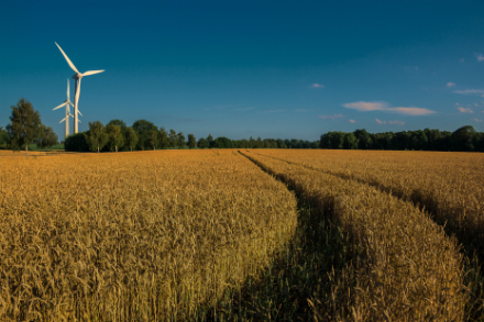 Zwei Prozent der hessischen Landesfläche sind für Windräder ausgewiesen.