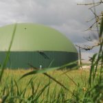 Der Zubau von Biogasanlagen liegt mit 19 MW im Jahr 2015 weit unter dem von der Bundesregierung eingeführten 100-MW-Deckel.