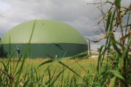 Der Zubau von Biogasanlagen liegt mit 19 MW im Jahr 2015 weit unter dem von der Bundesregierung eingeführten 100-MW-Deckel.