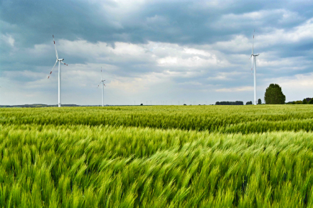 Je näher die Novelle des Erneuerbare-Energien-Gesetzes (EEG) 2016 rückt