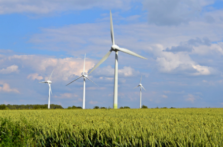 Verbände und die Energieminister der Länder warnen davor