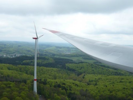 Hessen beteiligt Kommunen an den Einnahmen aus Windkraft im Staatswald.