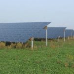 Dünnschicht-Solarmodule eines swt-Solarparks