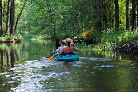 Im Spreewald soll man künftig nicht nur paddeln