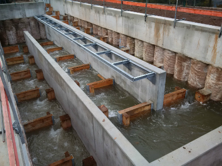 Über die Becken des neuen Fischpasses am Wehr bei der Talmühle in Neubulach können die Fische die Nagold bergauf wandern.