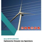 dena-Netzflexstudie: Die Mehrfachnutzung von Speichertechnologien kann die Kosten der Energiewende deutlich senken.