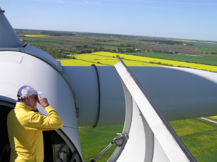 Trübe Aussichten für Windkraft in Rheinland-Pfalz?