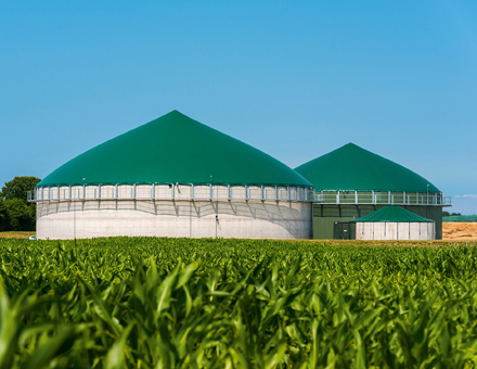 Smarte Bioenergie setzt voraus