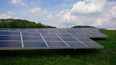 Trianel-Solarpark Südwestpfalz: Weitere PV-Projekte sollen bis Mitte 2021 zur Baureife geführt werden.