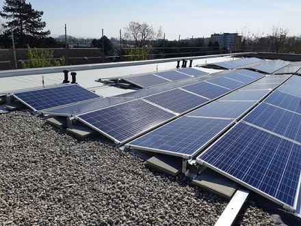 Sorgt für Mieterstrom: PV-Anlage in Limburgerhof.