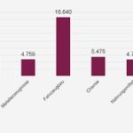 Investitionen nach Branchen im Jahr 2018.