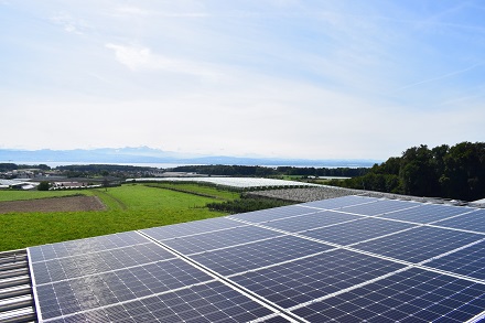 Ökologisch und mit Aussicht: Neue Photovoltaikanlage auf dem Wasserbehälter Friedrichshafen-Raderach.