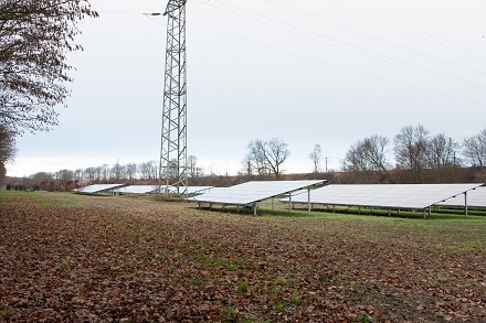 Die 2.027 Solarmodule in Weiden erzeugen genug Energie