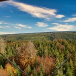 Blick auf den Schwarzwald: Das Land Baden-Württemberg ist mit einer Staatswaldfläche von etwa 320.000 Hektar der größte Waldbesitzer im Land.