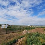 Wird dank Speichern flexibel in der Stromlefierung: Solarpark