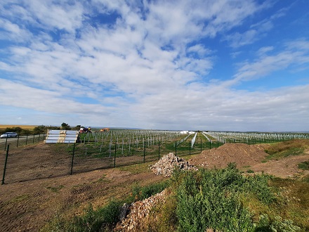 Wird dank Speichern flexibel in der Stromlefierung: Solarpark