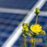 BayWa r.e. hat einen Großauftrag für die Solarkraftwerke Südeifel erhalten.