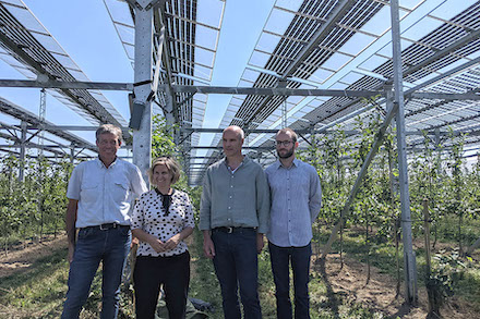 Klimaschutzministerin Katrin Eder beim Besuch der Agri-PV Anlage in Grafschaft.