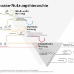 Darstellung der Biomasse-Nutzungshierarchie.