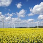 Windpark in Bad Wünneberg im Süden des Landkreises Paderborn.