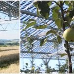 Agri-PV kann für Landwirte gewinnbringend sein.