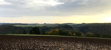 Vulkaneifel: Hier wird das Unternehmen enercity ab Frühjahr 2023 sieben Windenergieanlagen bauen.