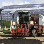 Bei Agri-PV-Anlagen bleibt die landwirtschaftliche Nutzung erhalten.