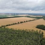 Auf der Halde des Braunkohletagebaus Phönix-Nord soll der Solarpark Langendorf entstehen.