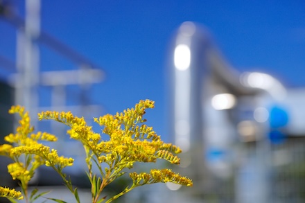 Der neue Fernwärmespeicher an der Gewerkenstraße in Gelsenkirchen-Schalke wird ein Fassungsvermögen von rund 31 Millionen Liter Wasser und eine Wärmekapazität von 1.050 MWh haben.