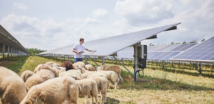 Die evm betreibt Solarparks unter anderen in Görgeshausen