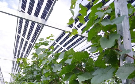 Solarenergie spielt bei der Erreichung der Klimaschutzziele eine wichtige Rolle.