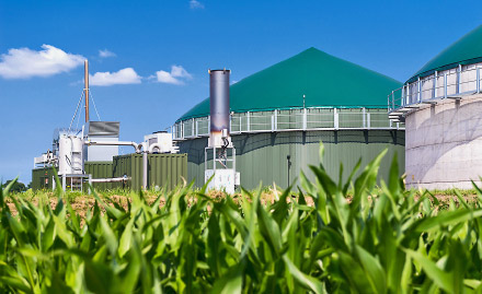 Stadtwerke können das Rohbiogas ankaufen und damit in das Speicherkraftwerk investieren.