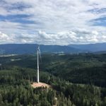 Der Südwesten braucht mehr Windenergieanlagen – Anlage bei Biederbach im Schwarzwald.