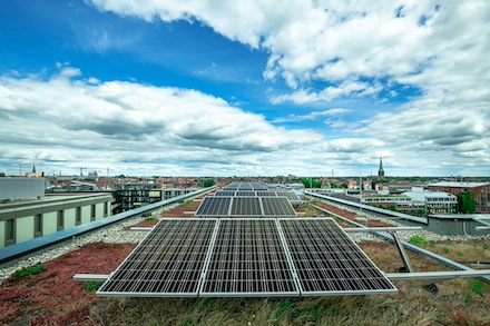 Die Stadtwerke Münster planen den Bau großer PV-Freiflächen-Anlagen